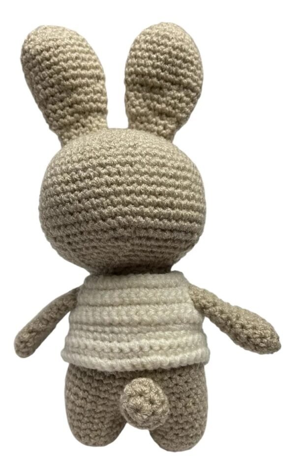 Conejo De Crochet Alexito Amigurumi - Image 2