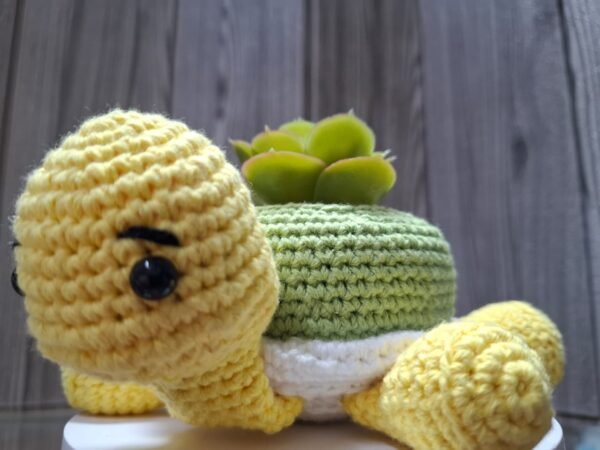 Tortuga Amigurumi - Image 4